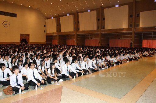 MCT033 Copy.JPG
